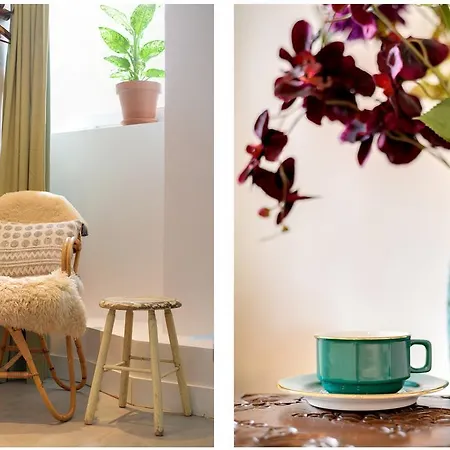 Homestay Weesper Studio's Amsterdam
