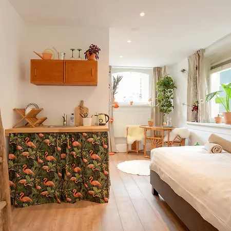 Séjour chez l'habitant Weesper Studio's Amsterdam