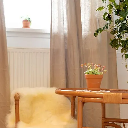 Séjour chez l'habitant Weesper Studio's